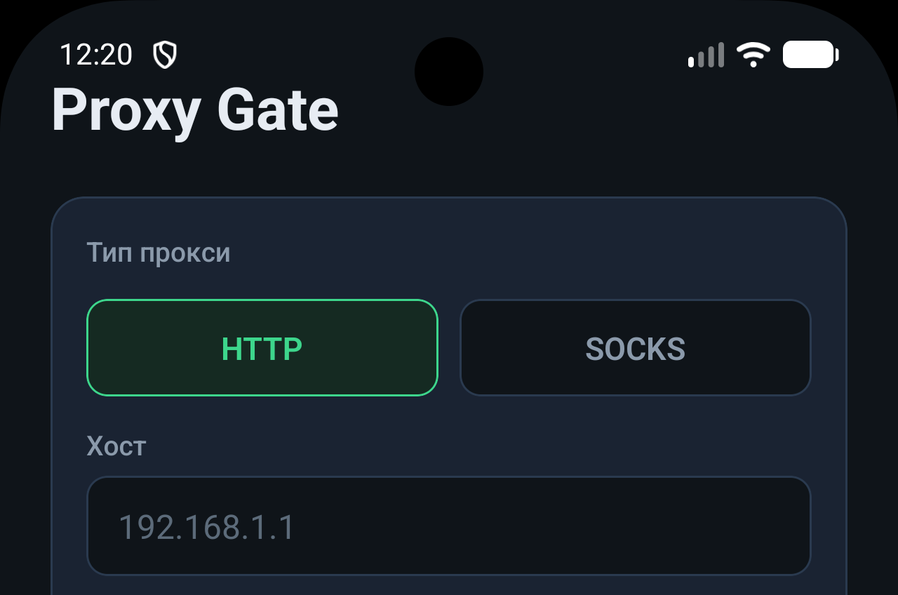 Скоро в: Анонсируем выход Proxy Gate — клиента для безопасной работы с вашими прокси-серверами